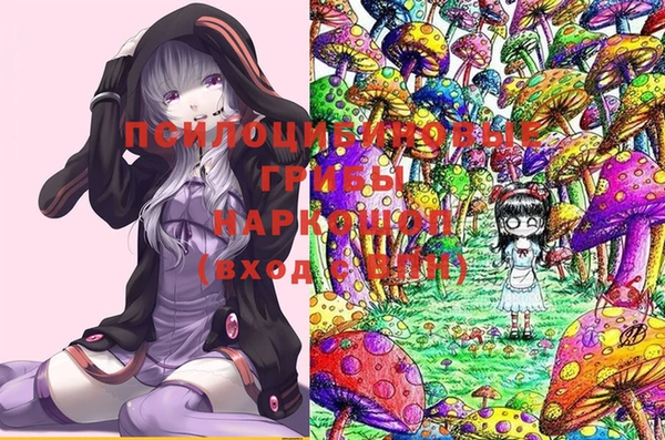 твердый Алексеевка