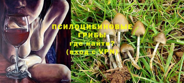 твердый Алексеевка