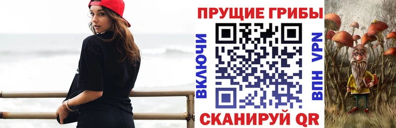 Купить закладки  Отрадная  Псилоцибиновые грибы мухоморы 